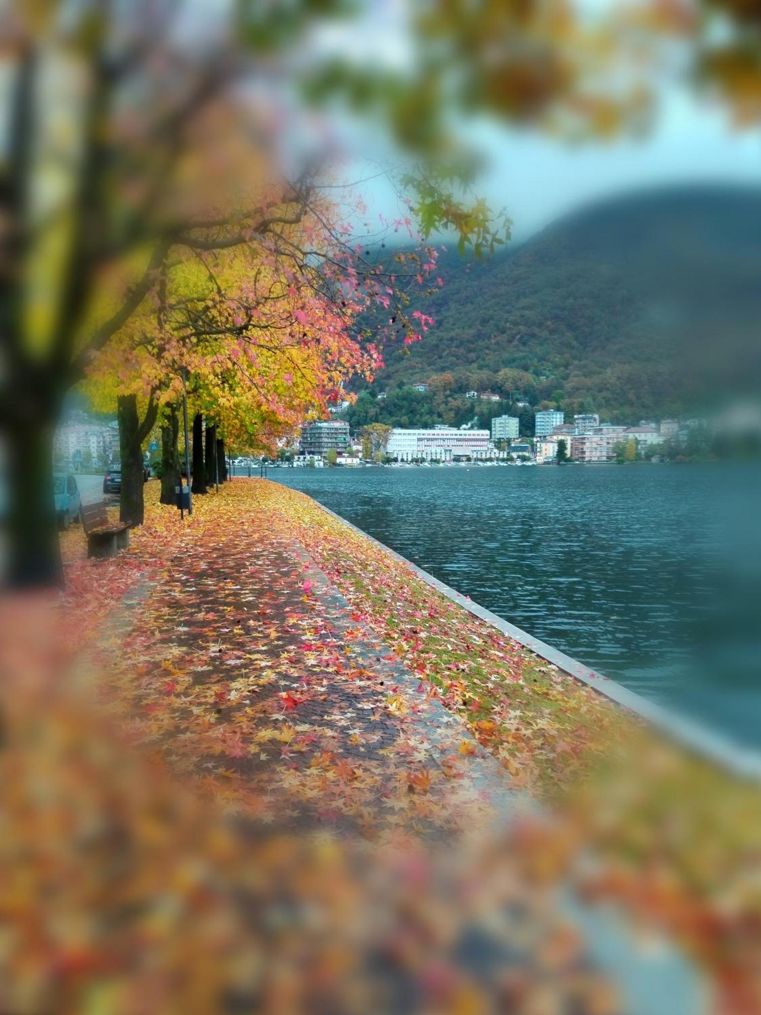 Un Balcone Sul Lago Omegna Exterior photo